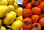Cẩn thận kẻo mua nhầm hồng Trung Quốc